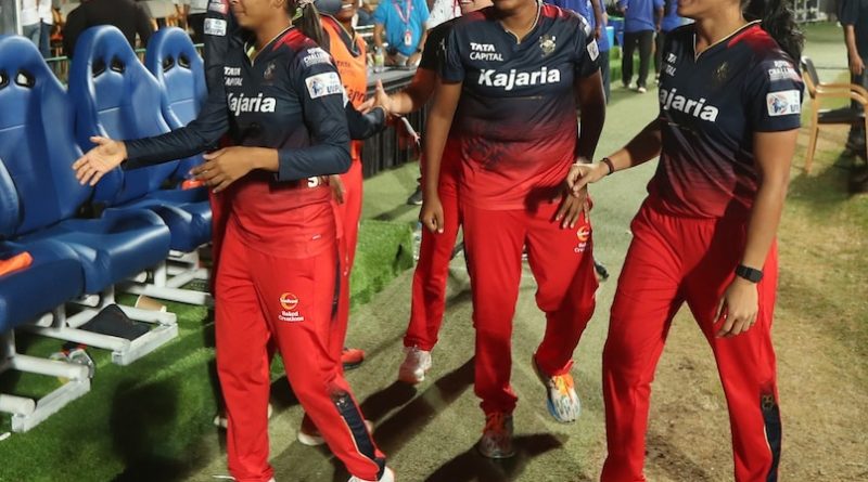 RCB Star Receives Marriage Proposal From Fan During WPL 2024 Match - Pic Goes Viral