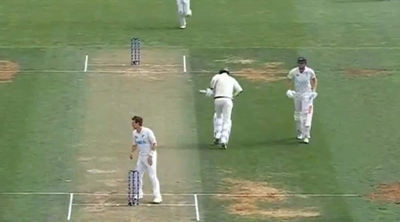 Commentator In Splits As Cameron Green-Josh Hazlewood's Running Act Stuns New Zealand. Watch | Cricket News