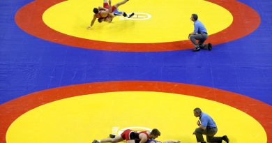 IOA Dissolves Ad-hoc Committee For Wrestling, WFI To Take Charge | Wrestling News