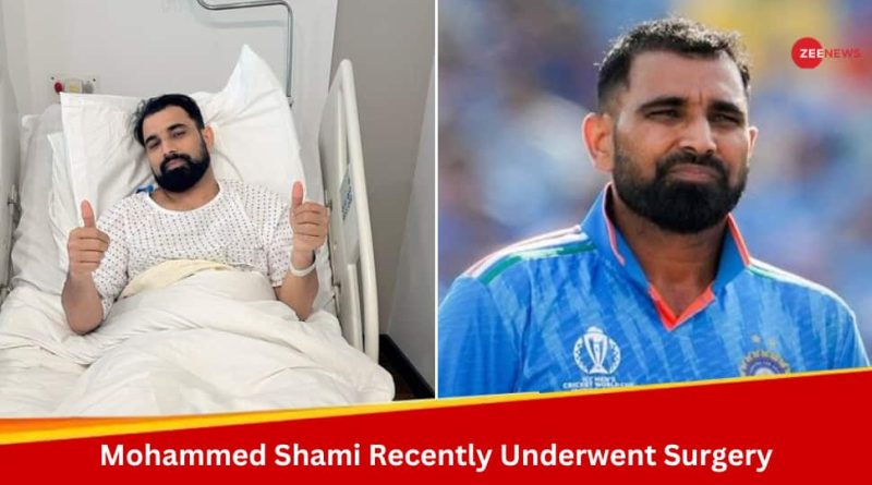 Mohammed Shami Not Available For T20 World Cup 2024 And IPL 2024, Confirms BCCI Secretary Jay Shah