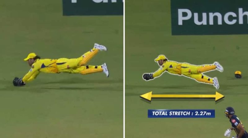 Tiger Zinda Hai, Suresh Rainas Reaction To MS Dhonis Sublime Catch During CSK Vs GT Goes Viral - WATCH