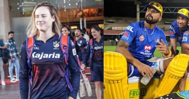 WPL 2024 Final: Murali Vijay Wanted To Go On A Date With Ellyse Perry?; Check RCB-Women Stars Epic Reply