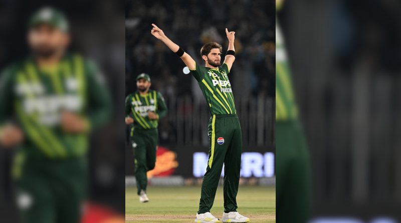 Shaheen Afridi Calls Mohammad Rizwan 'Don Bradman', Triggers Social Media Storm | Cricket News