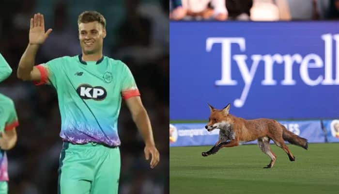 Fox Stops Play at Lord’s! Oval Invincibles Beat London Spirit in The Hundred 2025 Opener